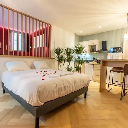 Loveroom En Centre Avec Jacuzzi - Notre Dame Appartement