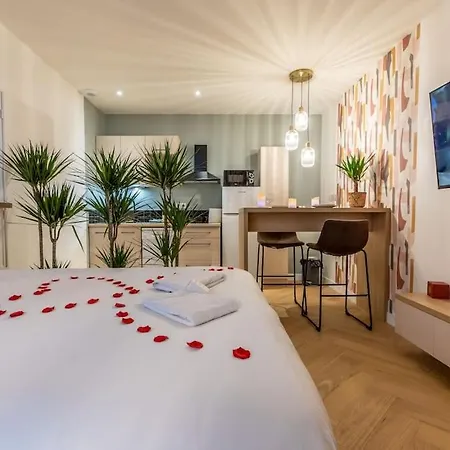 Loveroom En Centre Avec Jacuzzi - Notre Dame Appartement